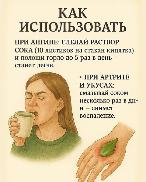 ����ࠗ�����,�����������������! - 4