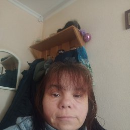 , 44, 