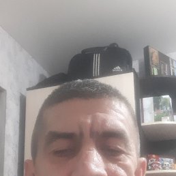 , 40 , 