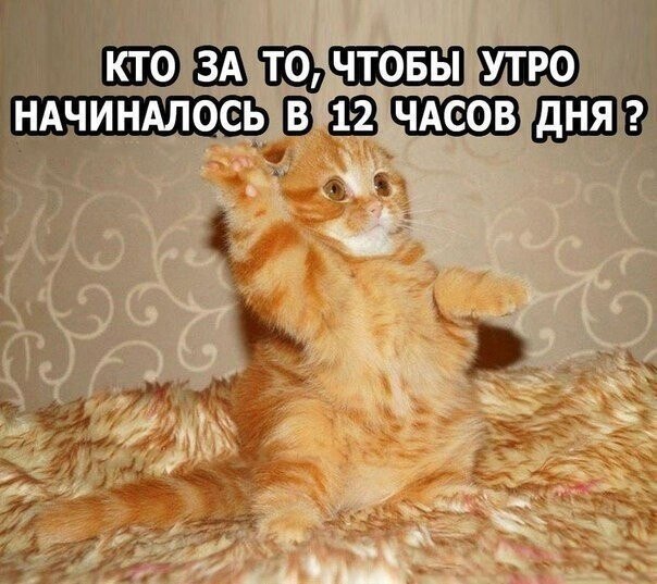 ? ,  ! - 29  2024  19:37