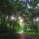 ���� ���������, ������, 37 ��� - ��������� 3 ������� 2025 � ������ ���� ����������