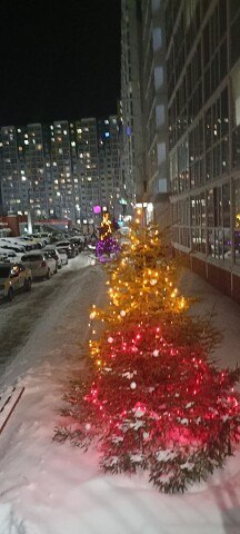 ���� �����, ������, 40 ��� - ��������� 15 ������ 2024