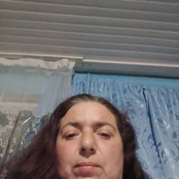, 41, 