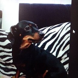 �����, ��������, 64 ����