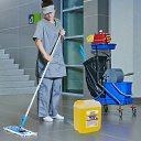 ���� ���� ��������, ����������� - ��������� 25 ������� 2025