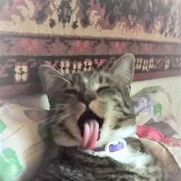 ������, ������, 30 ���