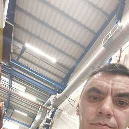 ���������, 38 ���, �����