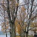 ���� �����, ������, 41 ��� - ��������� 30 ������� 2025 � ������ �������� ������� �.�������