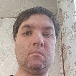 �������, ������, 37 ���