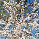 ���� ������, ����������, 66 ��� - ��������� 14 ��� 2026 � ������ ���� ����������