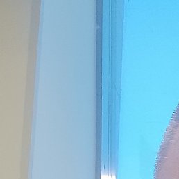 ����, �����, 41 ���