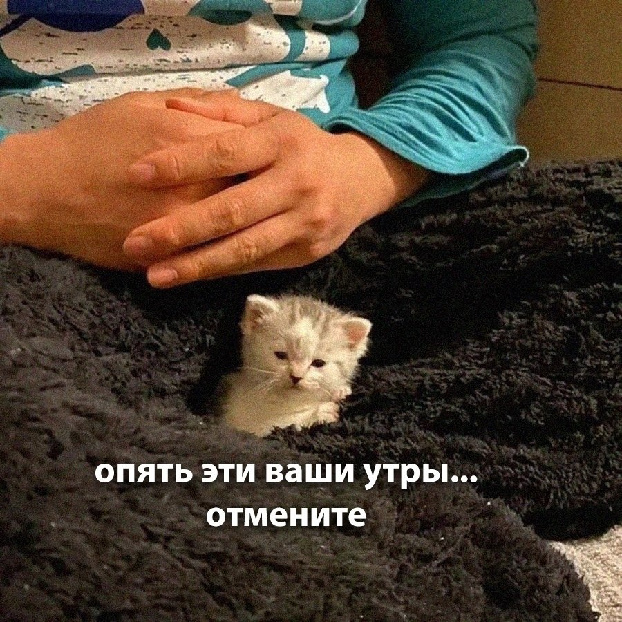 ����������...