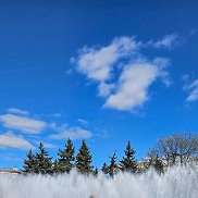 �������, 53 ����, �����-���������