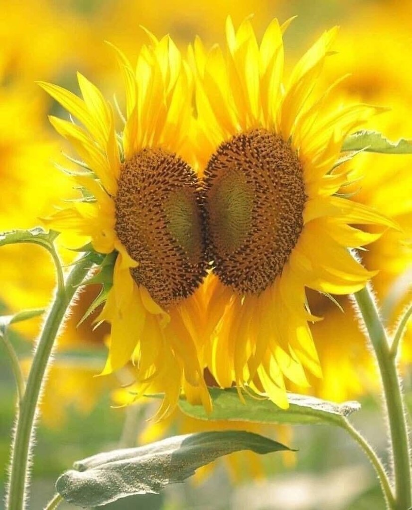 :)      ,    .    ,   .