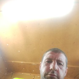 , 33, -