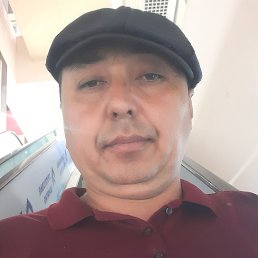  , 44, 