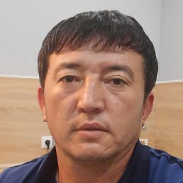 ����, ������, 40 ���