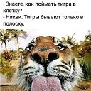  ,  -  13  2024      