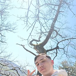 Luciano, 17, 