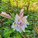 ���� ������, �����-���������, 62 ���� - ��������� 25 �������� 2025 � ������ �������