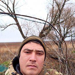 , 38, 
