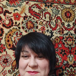 ���� ������, ���������, 54 ���� - ��������� 4 ������� 2026