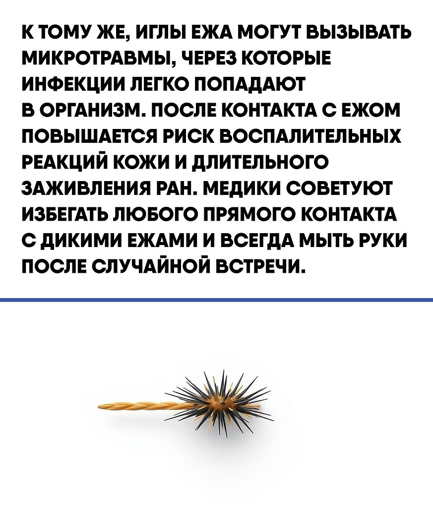  |  |   5 - 12  2025  16:13 - 3