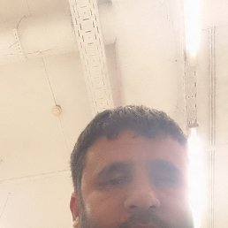 , 37,  
