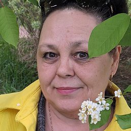 ����, ������, 55 ���