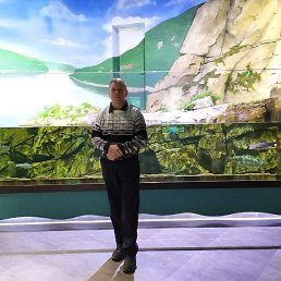 ��������, �����, 57 ���