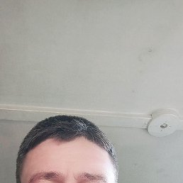 , 42, 