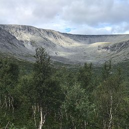 ���������, �����, 55 ���