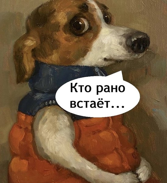 ���� - 19 ���� 2025 � 21:12