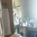 ���� ���������, �������, 53 ���� - ��������� 23 ���� 2024 � ������ ���� ����������