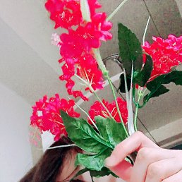 ���� �����, ���������, 29 ��� - ��������� 22 ����� 2026