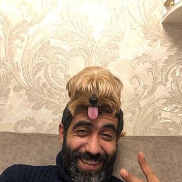 ����, �������, 43 ����