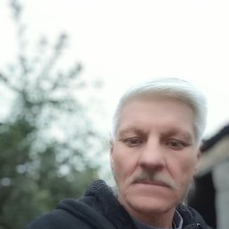 , 55, 