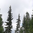 ���� ����� ����������, ������� - ��������� 25 ������� 2025 � ������ ���� ����������