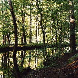 ���� ������, ����������� - ��������� 23 ������ 2025