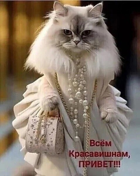 ***Victoria Viktorovna*** - 14  2024  04:13