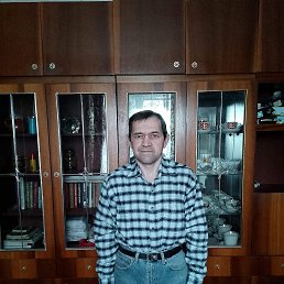 ������, 48 ���, ���������