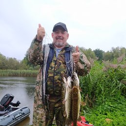 ������, 52 ����, �����������