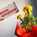 ���� Zv ����� ����� ���������!!! V, ������� - ��������� 19 ��� 2026 � ������ ������ ��������