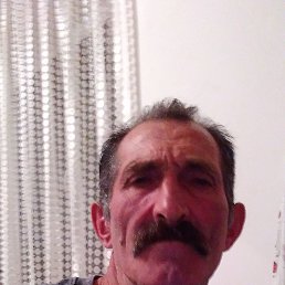, 56, 
