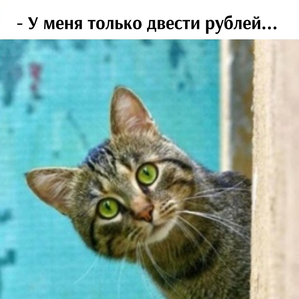       - 16  2025  16:02 - 2