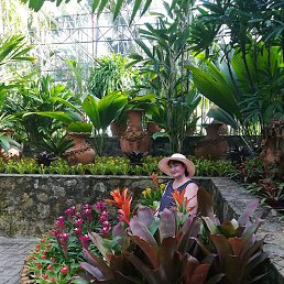 �����, �����������, 60 ���