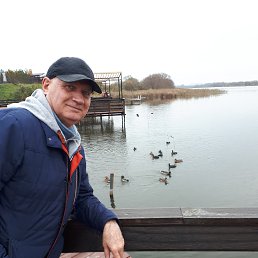 , 63, 