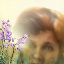 ���� ������, �����-���������, 62 ���� - ��������� 27 ������ 2023