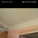 ���� �����, ������������, 100 ��� - ��������� 3 ������� 2026 � ������ ���� ����������