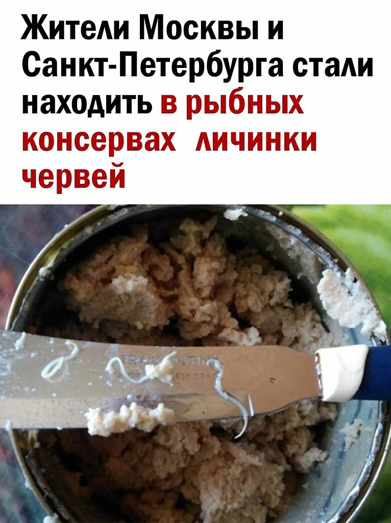  - 29  2025  13:59